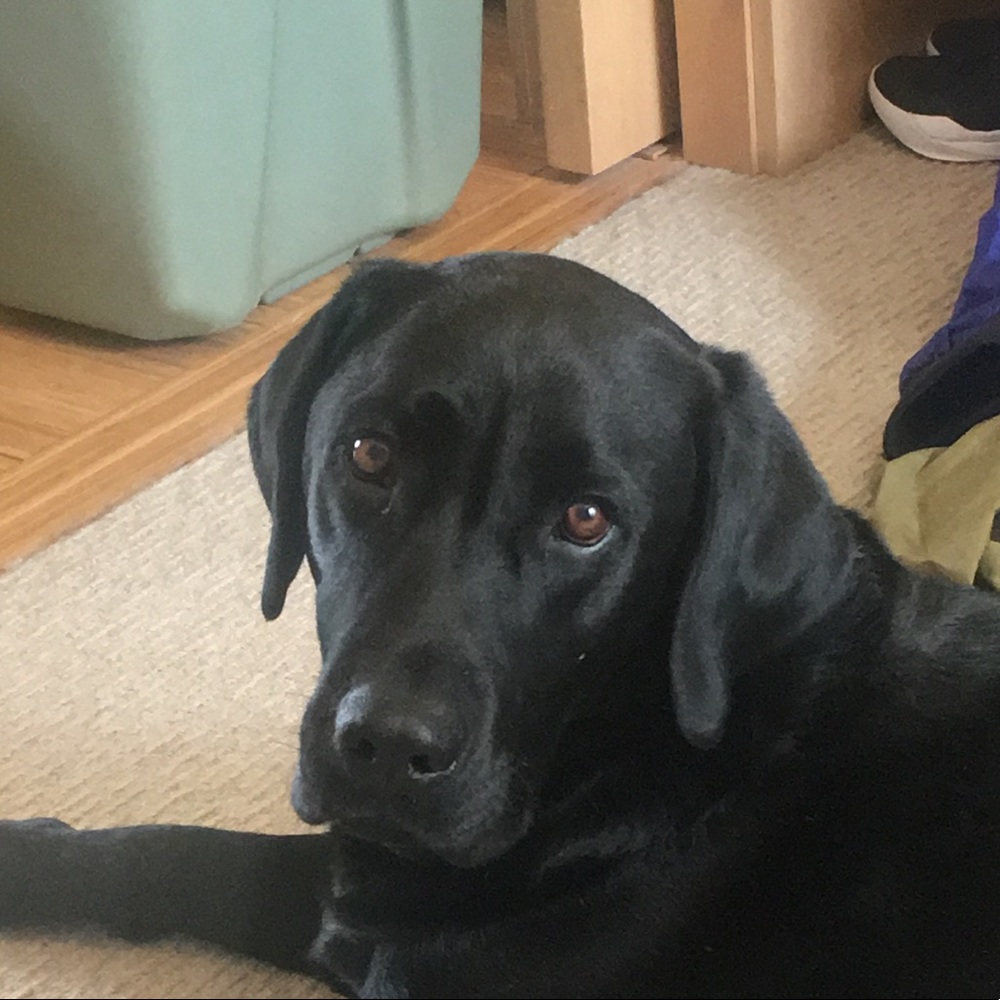 Meet your Posher, Sara